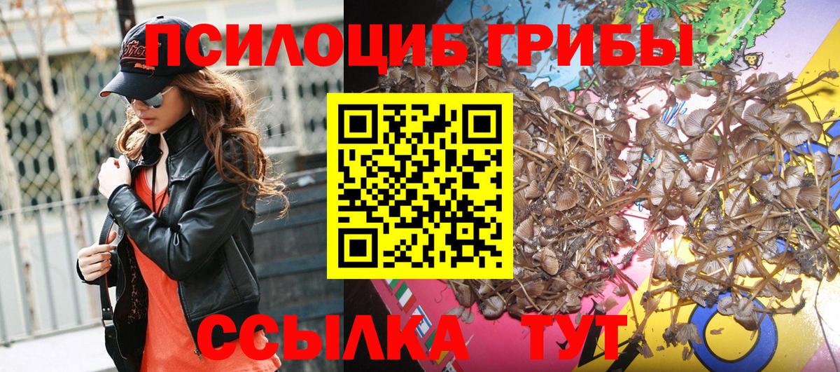 Галлюциногенные грибы Psilocybine cubensis Арсеньев